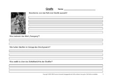 Giraffe-Fragen-3.pdf
